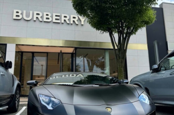 Americana Manhasset, Manhasset, NY