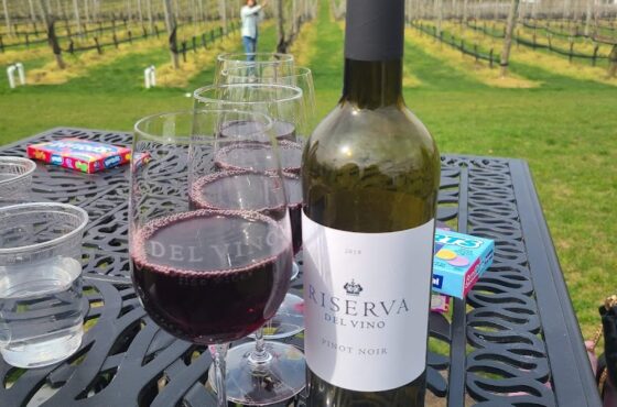 Del Vino Vineyards, Northport, NY