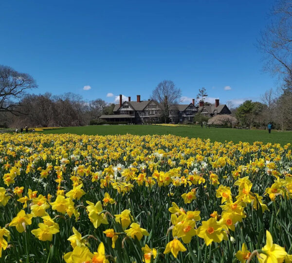 Bayard Cutting Arboretum