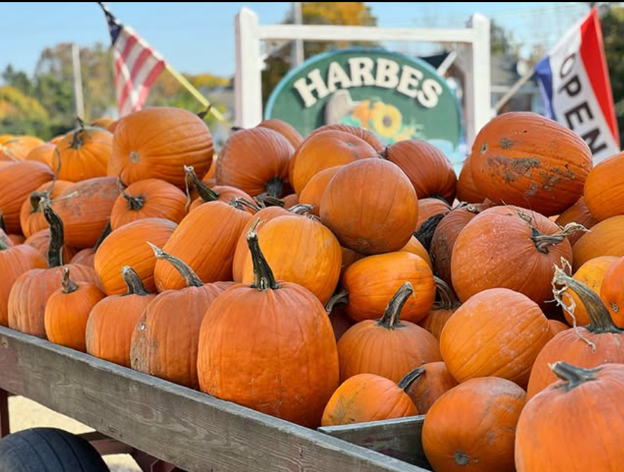 Harbes Family Farm – Mattituck
