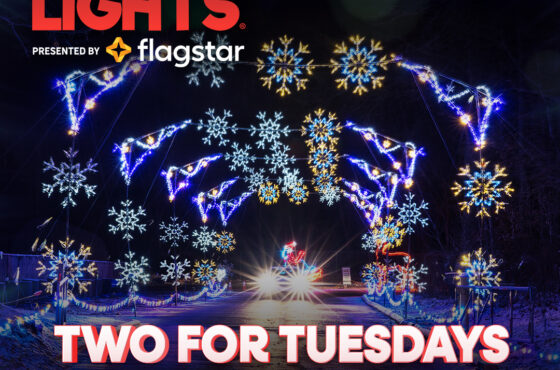 Magic of Lights — Jones Beach