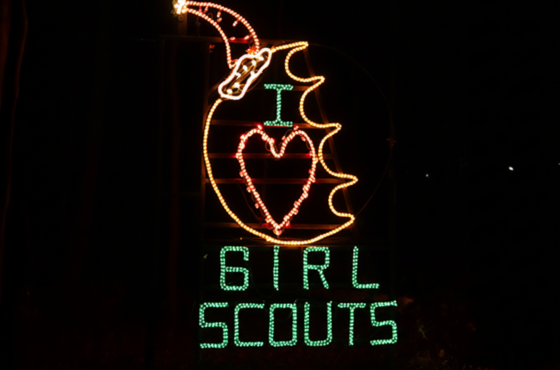 Girl Scouts Holiday Light Show (Enchanted Forest)
